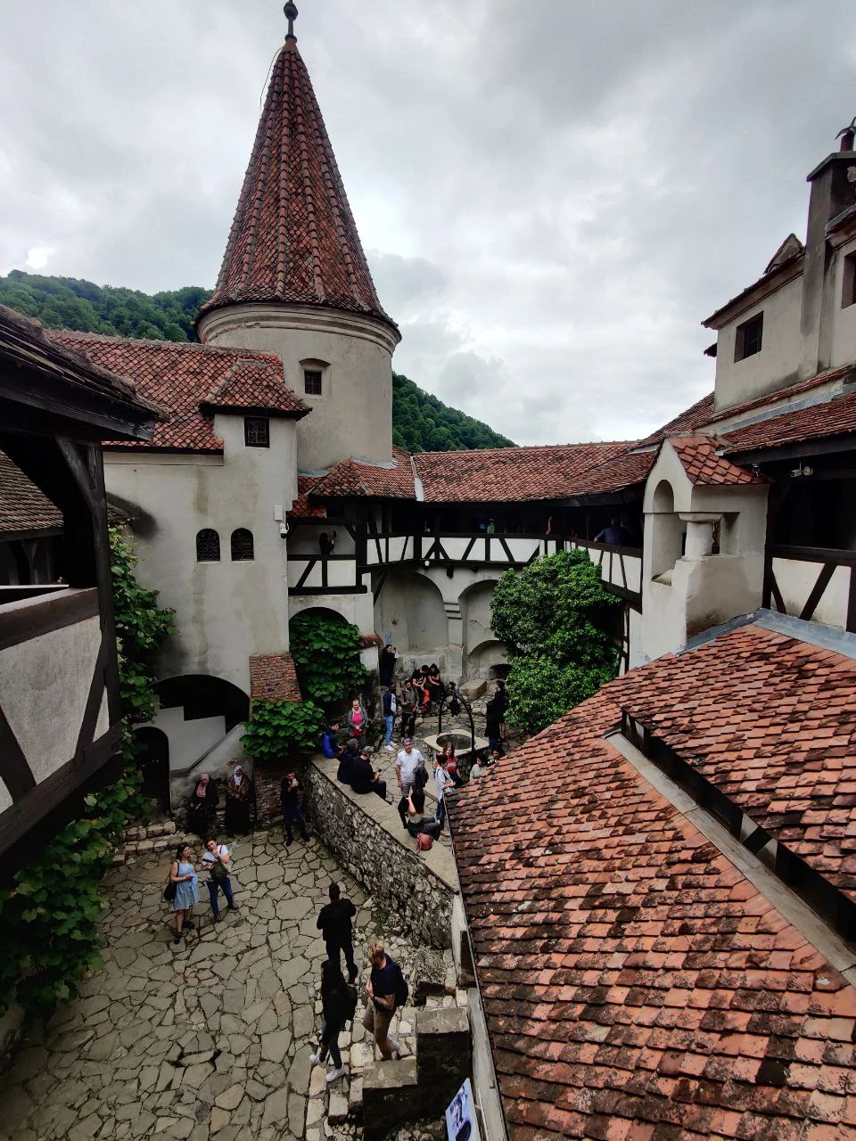 Не пожалели, что приобрели эту экскурсию. Зоя очень приятный человек, подождала нас, мы немного опоздали на назначенное время