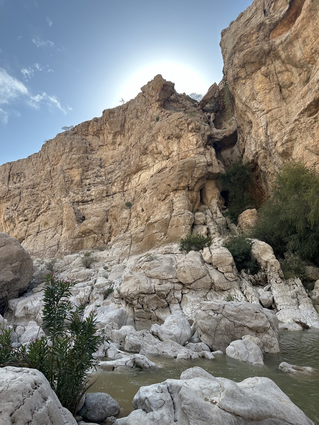 Пустыня Вахиба и оазис Вади Бани Халид (Марина)