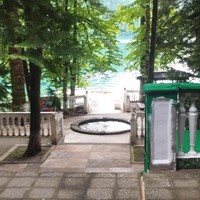 Фото отзыва 2: экскурсия "Новый Афон, Гагра, Сухум за 1 день + трансфер из Сочи"