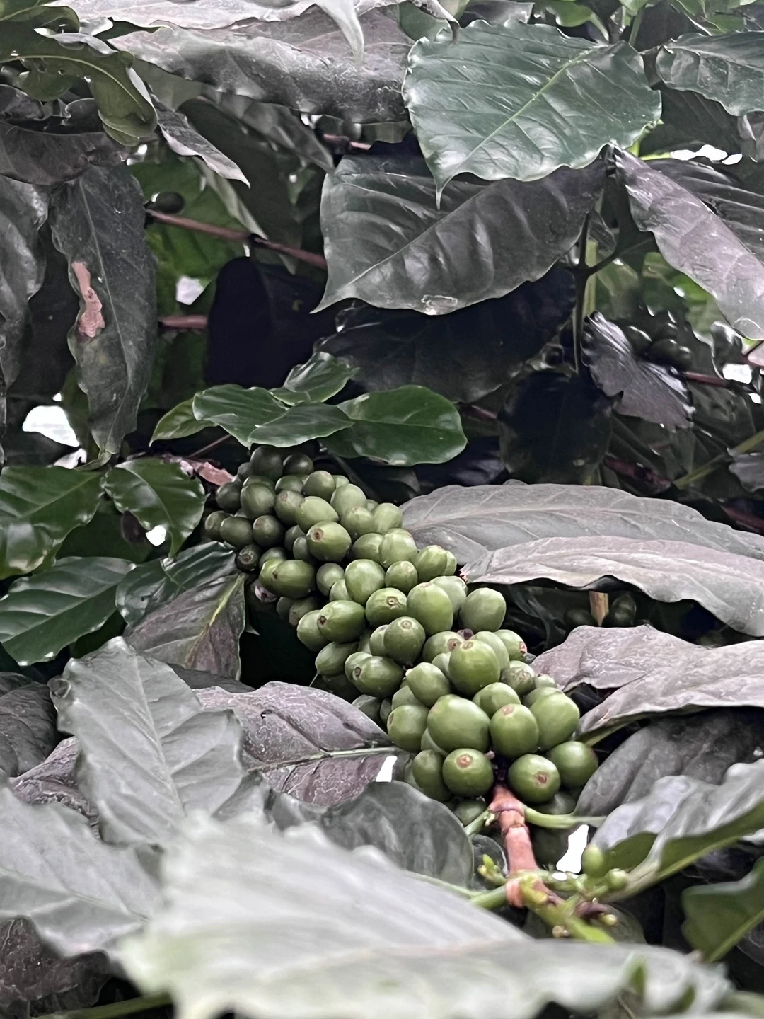 Все было супер! Гид, Иван, респект 🤘🏻