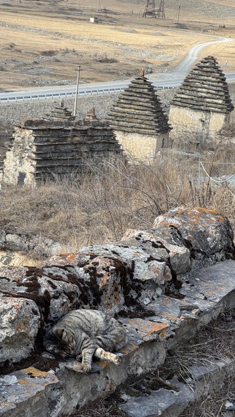 Отличная экскурсия, много красивых мест по маршруту, Тимур хороший гид и фотограф