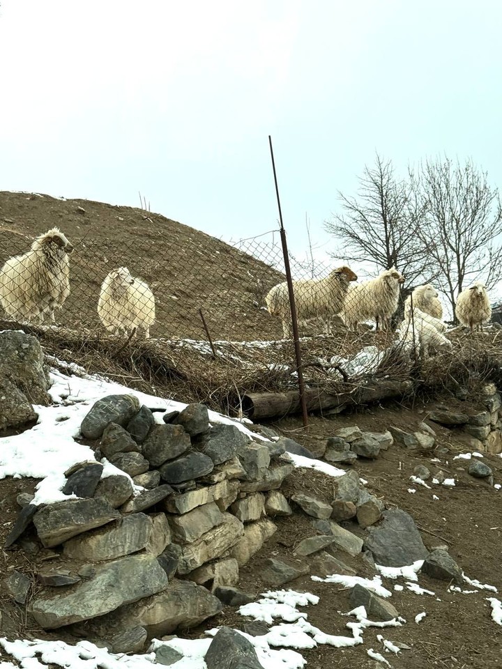 Лучшие места Северной Осетии (из Минеральных Вод) (Ксения)