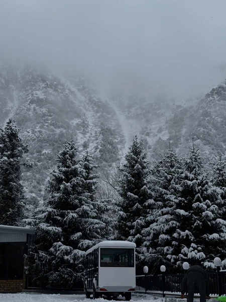 Все отлично! Большое спасибо Юрию!