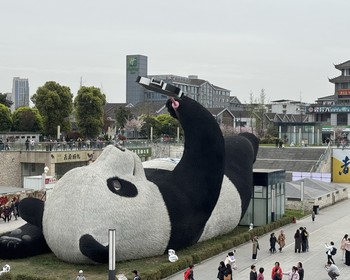 Заповедник больших панд и городок у реки