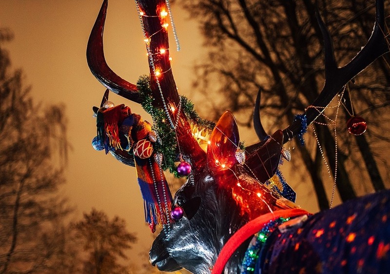 Фото отзыва 2: экскурсия "Новогодний Смоленск и его истории"