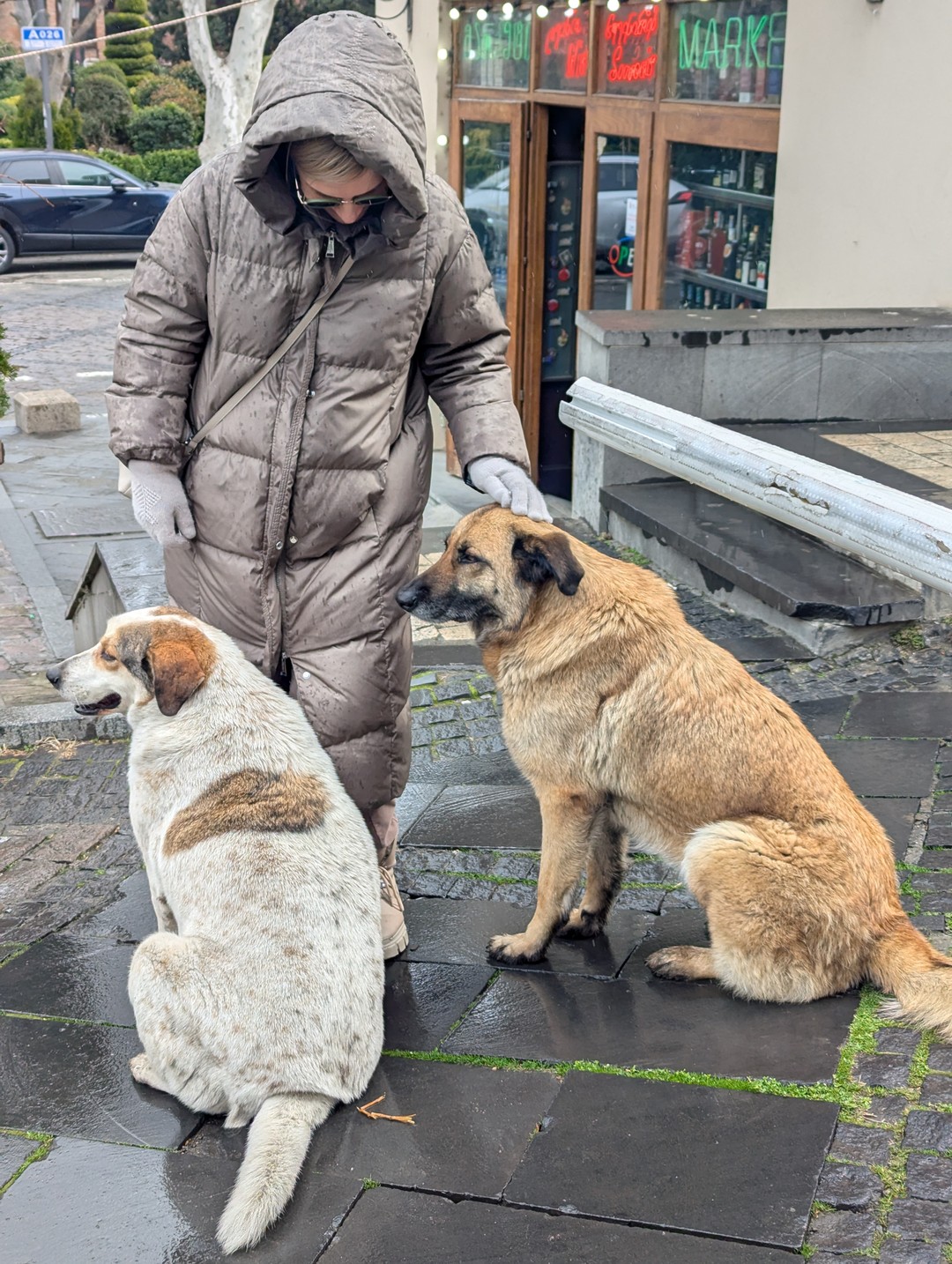 Старый Тбилиси: пешая экскурсия, прогулка на катере и грузинское вино (Николай)