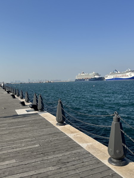 Очень рада что взяли эту экскурсию, хоть и небольшая страна, но есть что очень много посмотреть