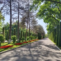 Фото отзыва 2: экскурсия "Иммерсивный спектакль «100 минут наедине с Ташкентом»"