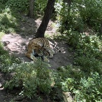 Фото отзыва 1: экскурсия "Приморский сафари-парк, водопады, бухты и мысы"