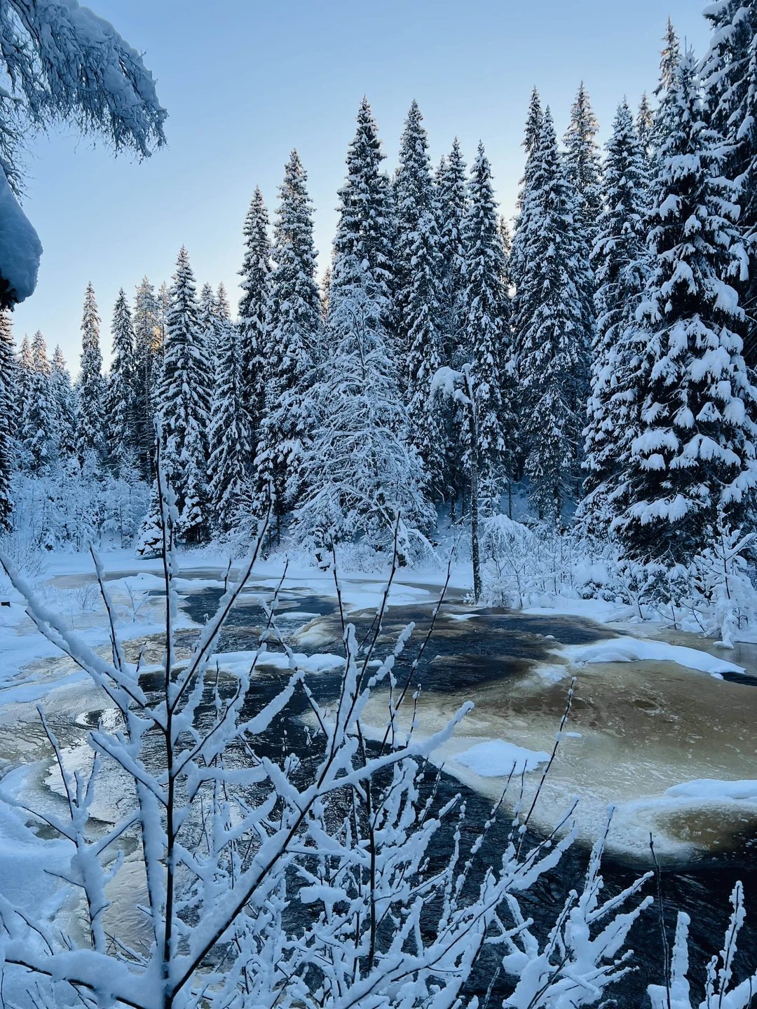 Экскурсия очень понравилась! Анастасия чудесный рассказчик, много знает о крае. Благодаря ей оказались в зимней сказке✨