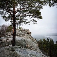 reviews img