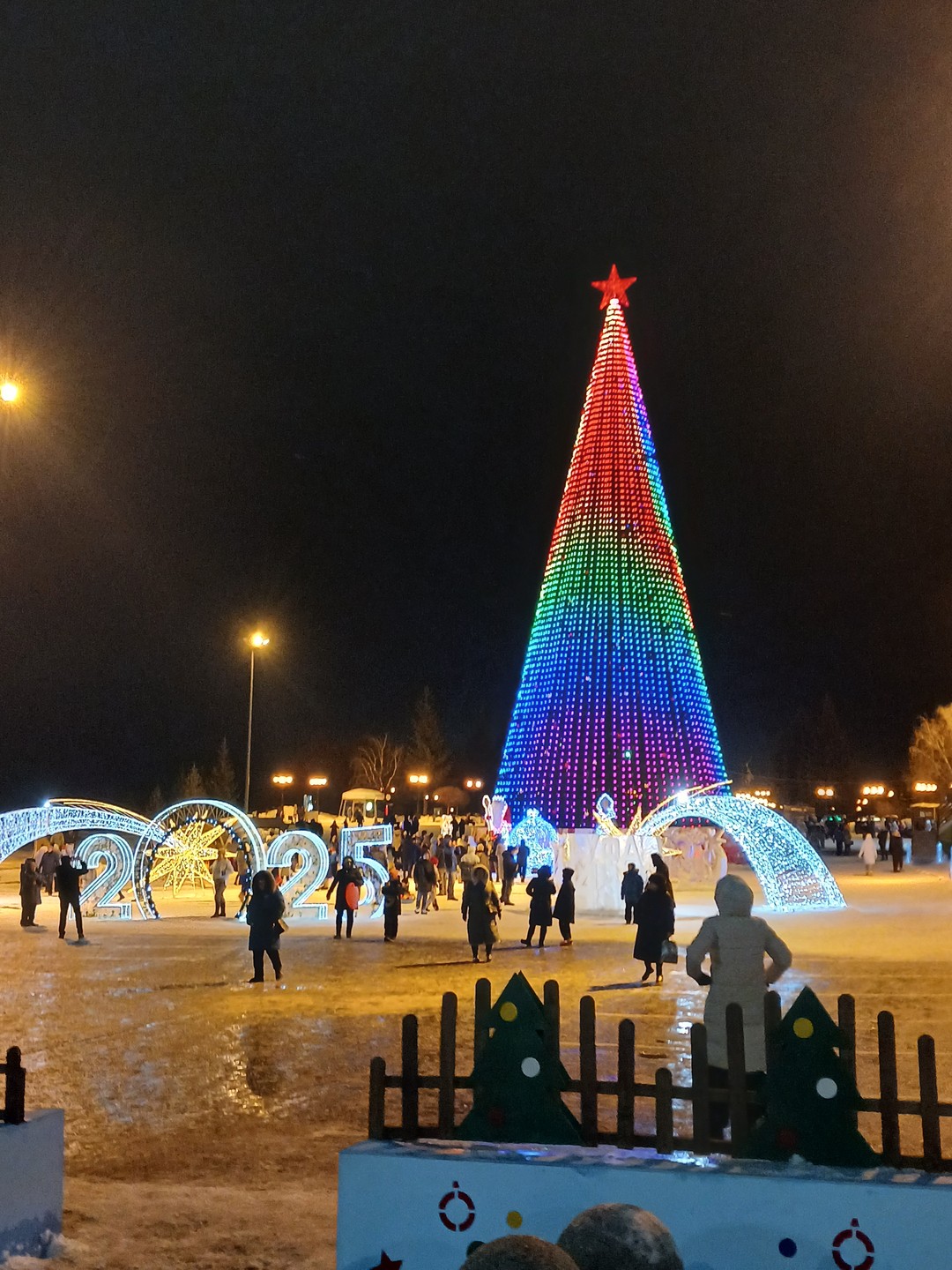 Экскурсия отлично, Ирина спасибо большое, показала все ёлки города, очень красиво. Город весь в огнях нам очень понравилось!