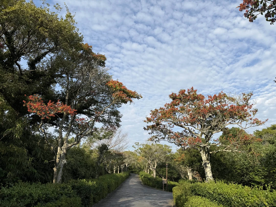 Чеджу - остров, куда хочется вернуться (Любовь)