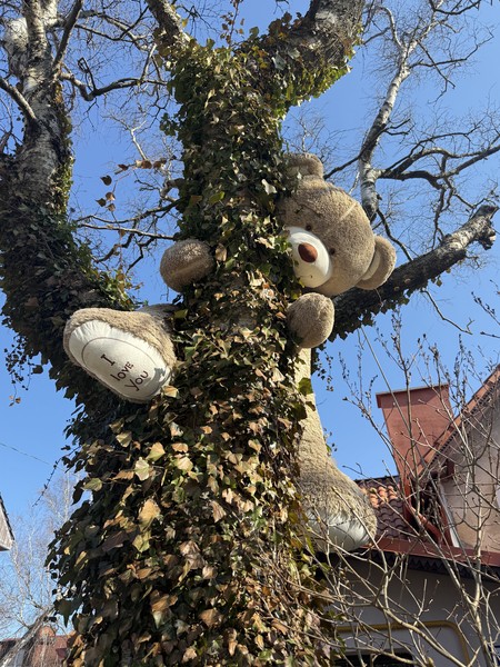 Невероятные впечатления от проведенной экскурсии! 🌟 Александра прекрасный рассказчик, очень позитивный и открытый человек. Было очень