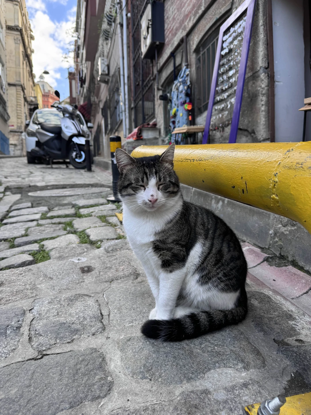 2й раз в Стамбуле и 2й раз выбираем экскурсию в сопровождении Айдына