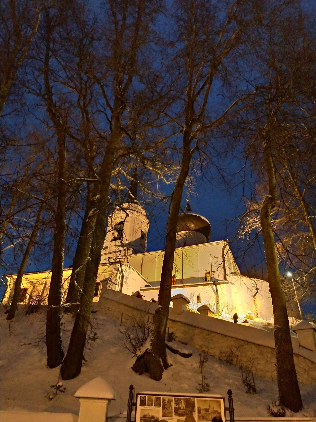 Из Пскова в Пушкинские Горы: Михайловское и Тригорское (Юлия)