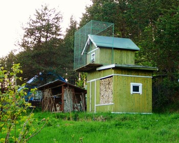 Медвежьегорск: экскурсия в городе или на природе