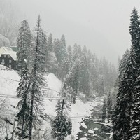 Фото отзыва 1: экскурсия "В Домбай по Аланскому коридору"