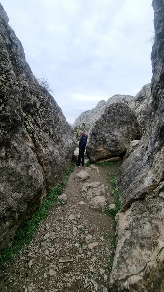 Экскурсия была очень интересная. Рашад рассказывал много интересного. Заранее были забронированы машины, там, где они были