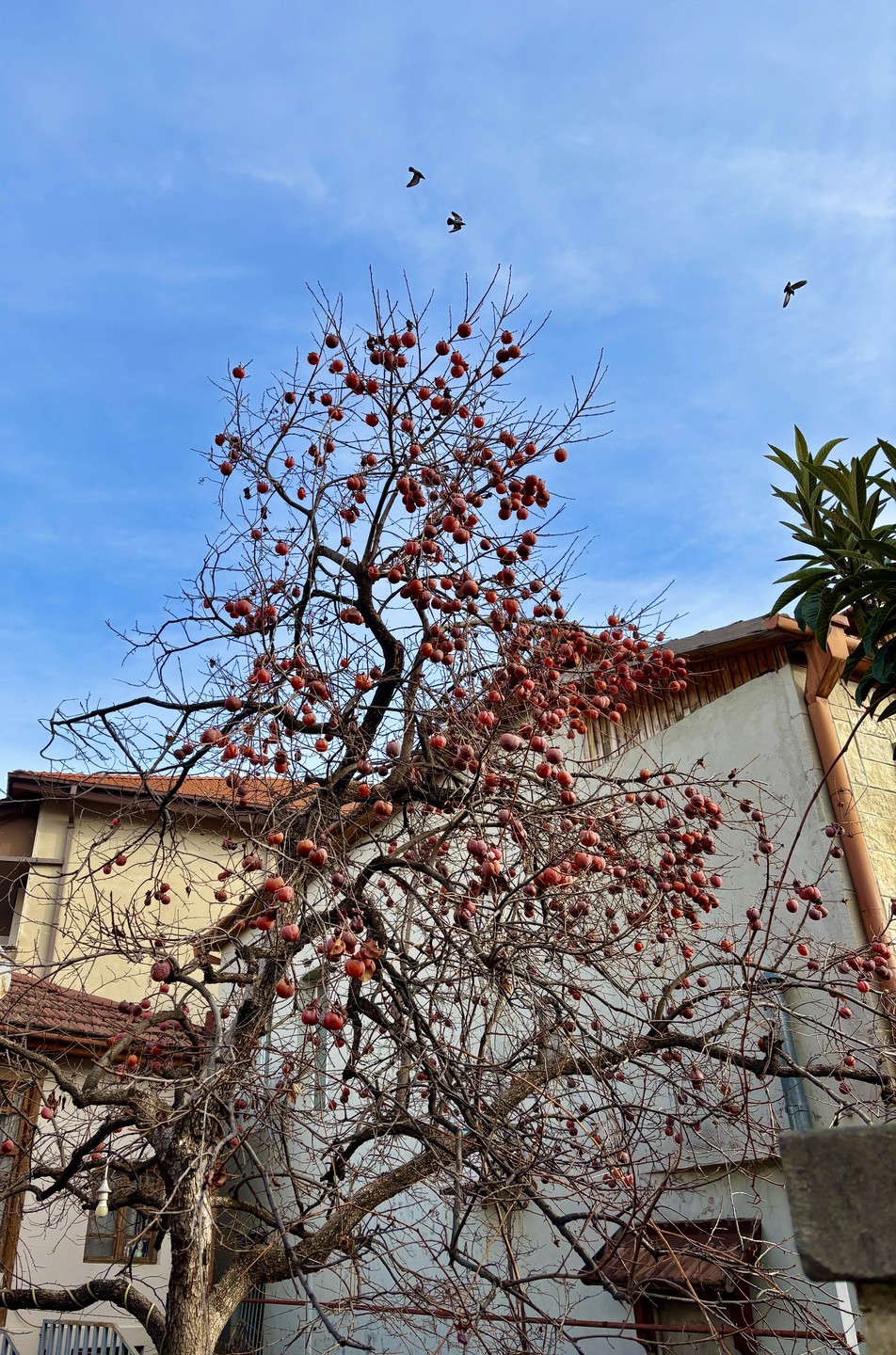 Мы провели с Галиной и Дмитрием незабываемый день в поездке по Грузии.