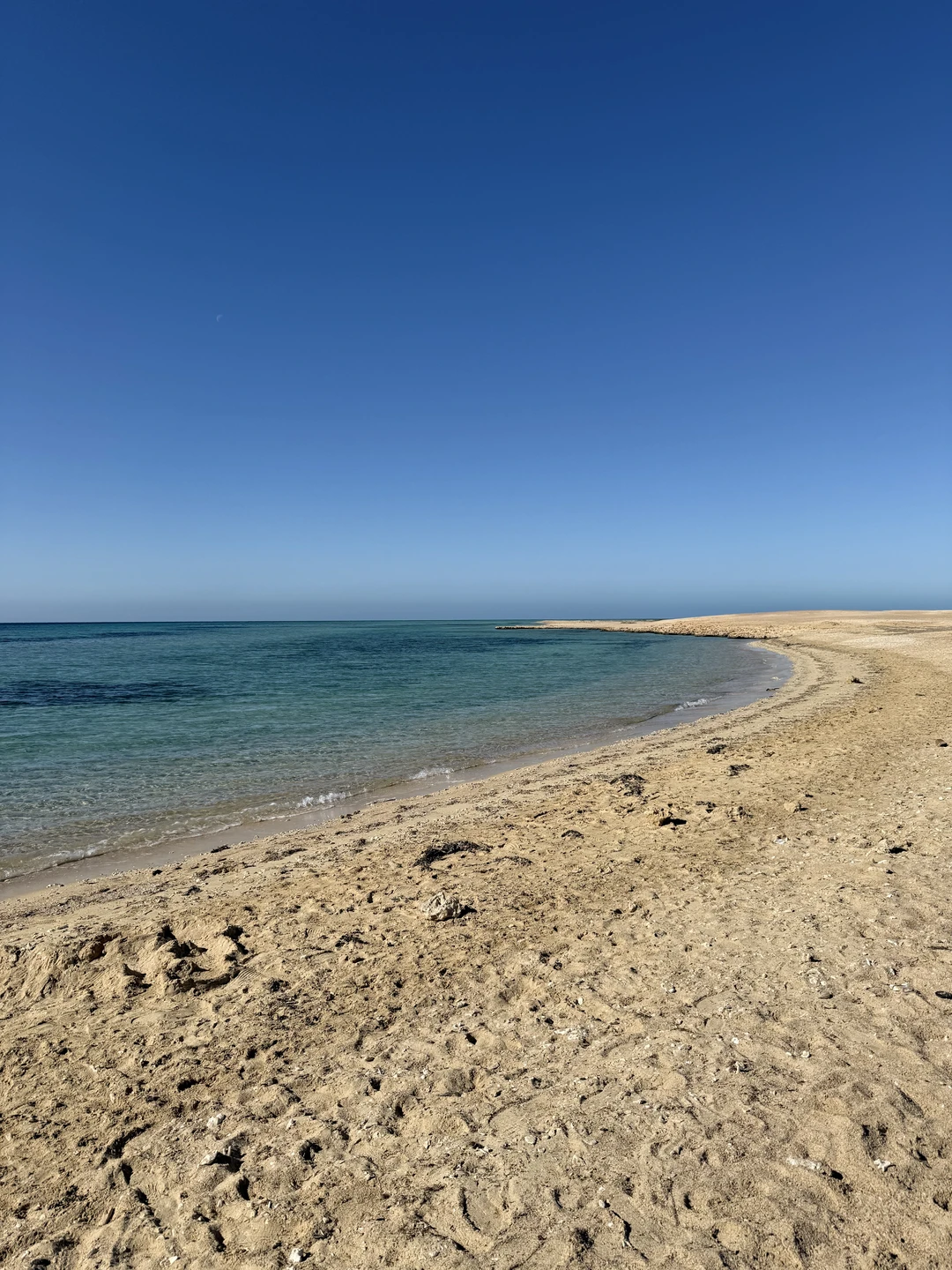 Я возлагал очень большие надежды на эту экскурсию, так как мечтал насладиться подводным видом Красного моря