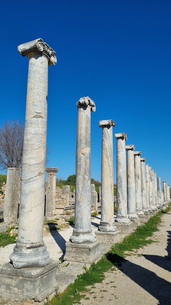 Благодарим Марину за шикарную индивидуальную экскурсию в Перге и Аспендос с заездом на водопад! С первой