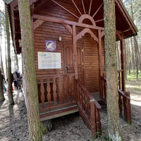 Фото туриста Ольга 3 - Куршская коса, орнитологическая станция и танцующий лес