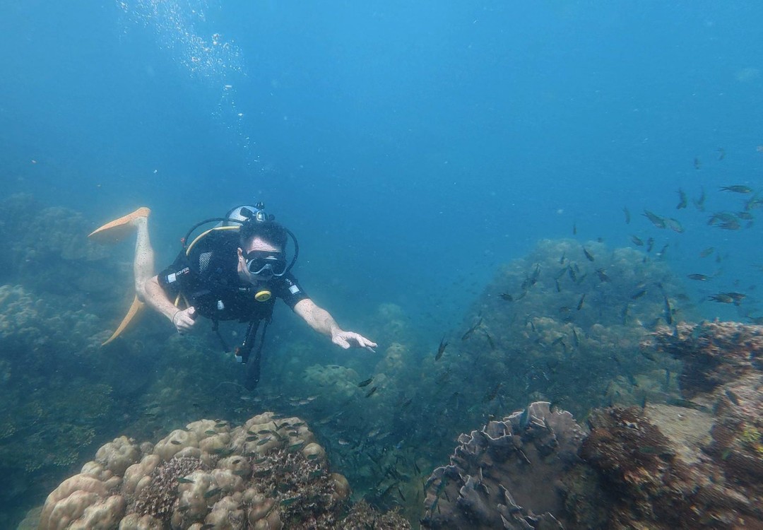 На Фукуоке ничего интересного рядом с отелем не увидеть. Чтобы увидеть подводный мир надо плыть на