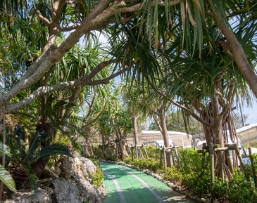 Ананасовый парк «Нарго»