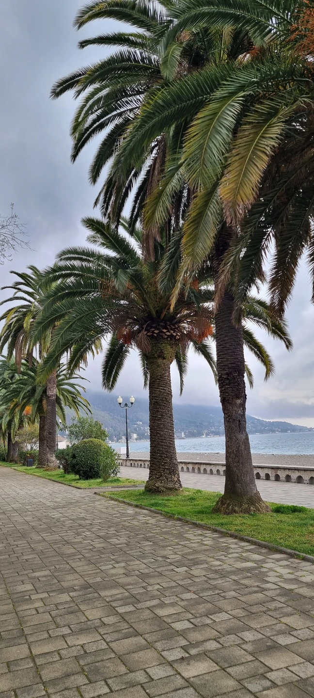 Влюбиться в Абхазию! Поездка из Сочи в мини-группе (Наталья)