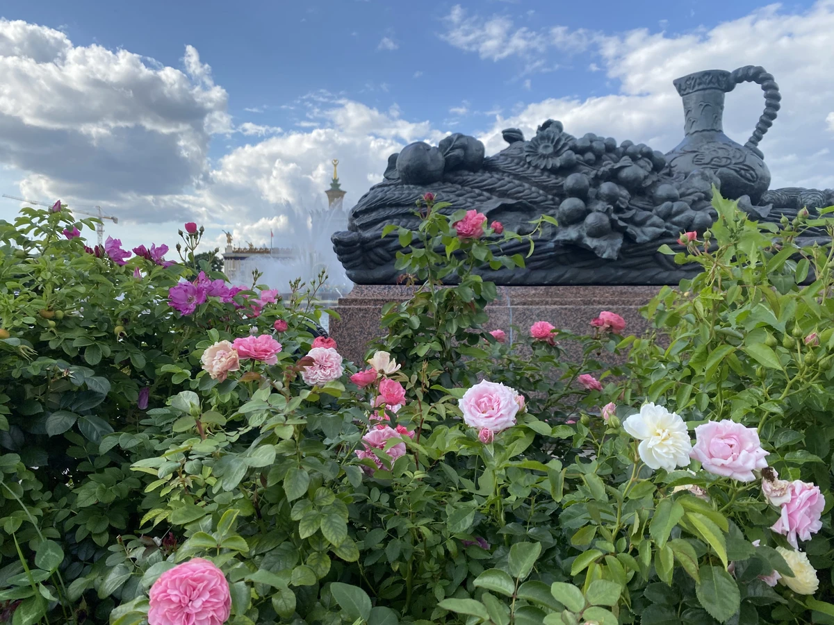 От «Золотого колоса» до космоса: парад планет ВДНХ (в группе)