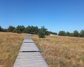 Куршская коса и Зеленоградск