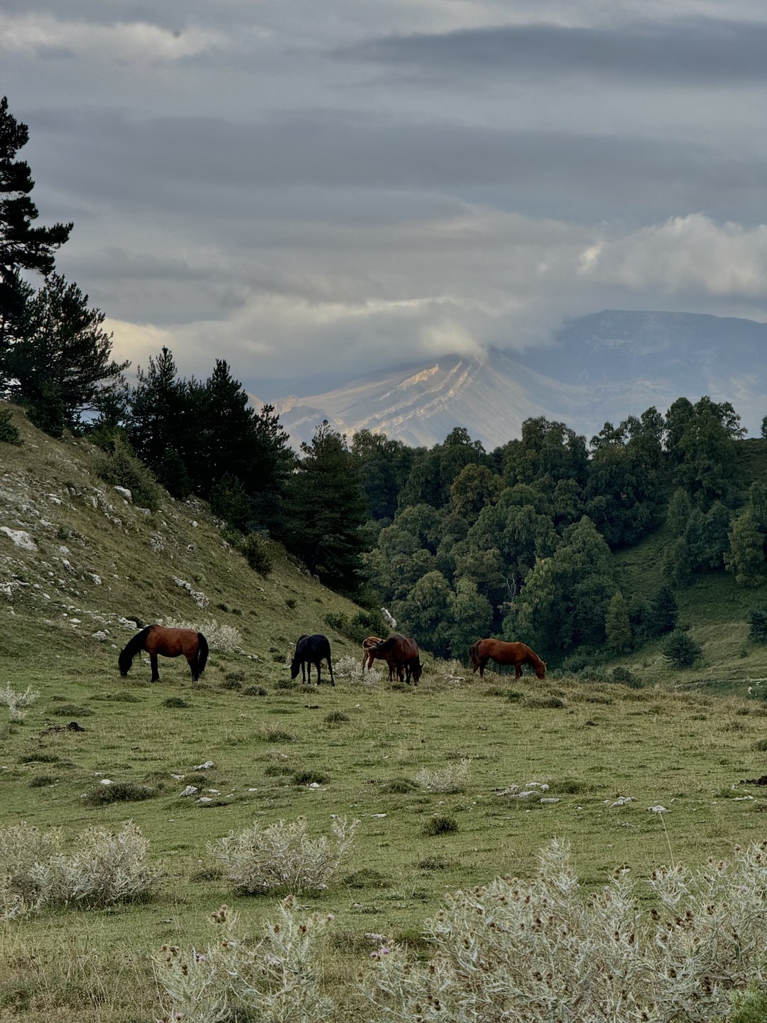 Огромное спасибо Нураву за такой интересный маршрут. Без толп туристов, с гостеприимным дагестанским колоритом и весельем