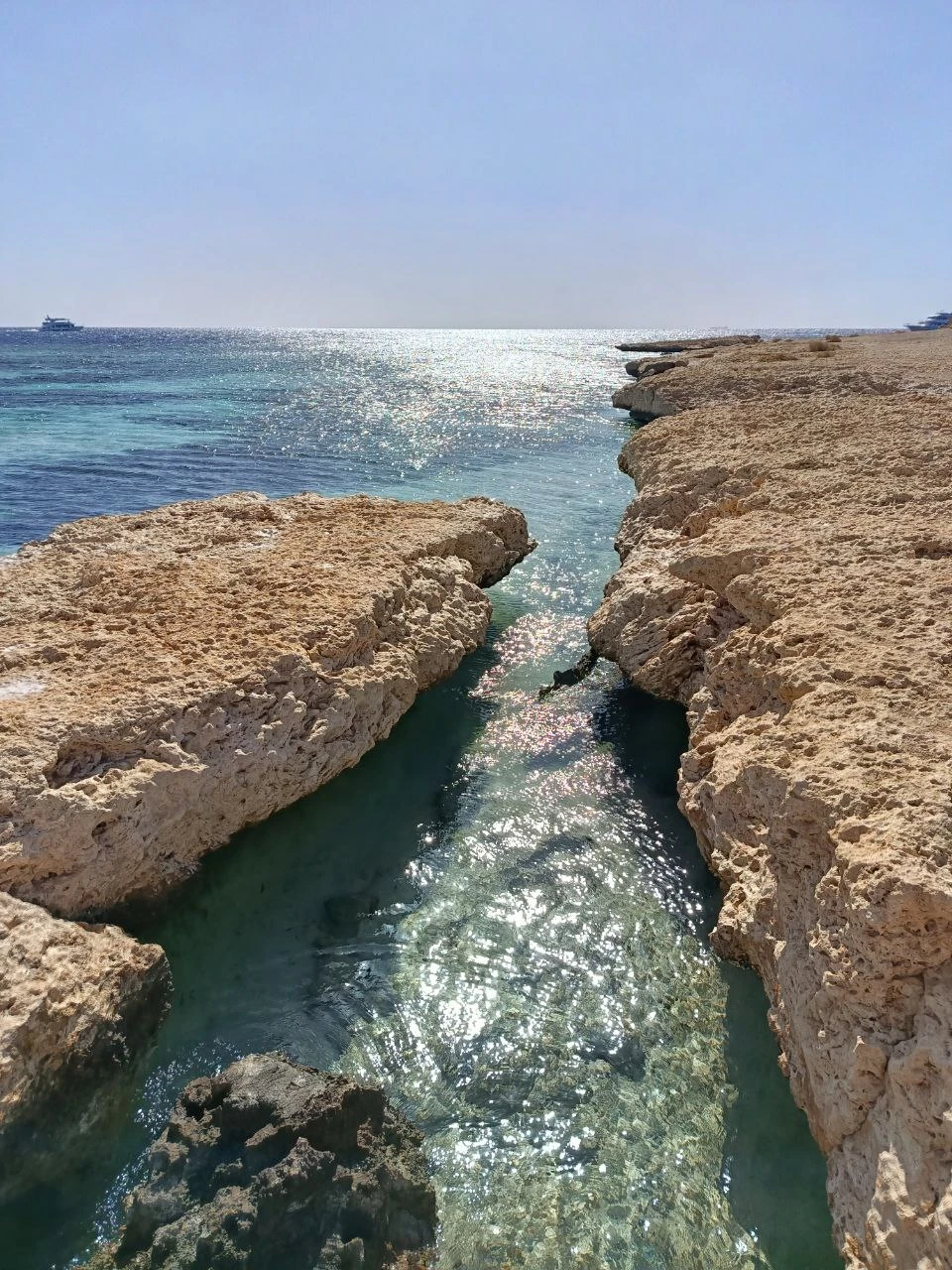 Отличный день в компании с Мустафой. Экскурсия по заповеднику, коралловая стена, которую не увидеть без сопровождения