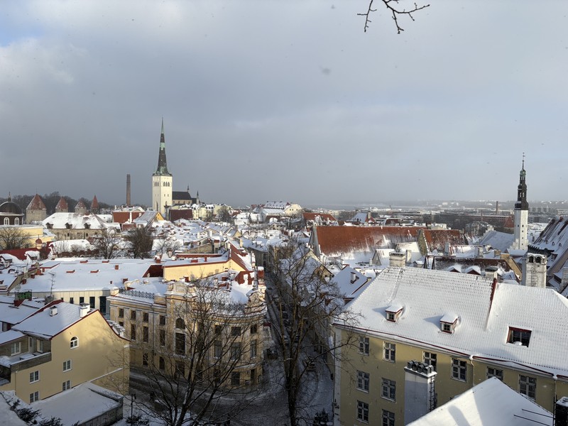Наша группа осталась очень довольна прогулкой по старому городу Таллина. Маршрут был хорошо продуман, рассказ -