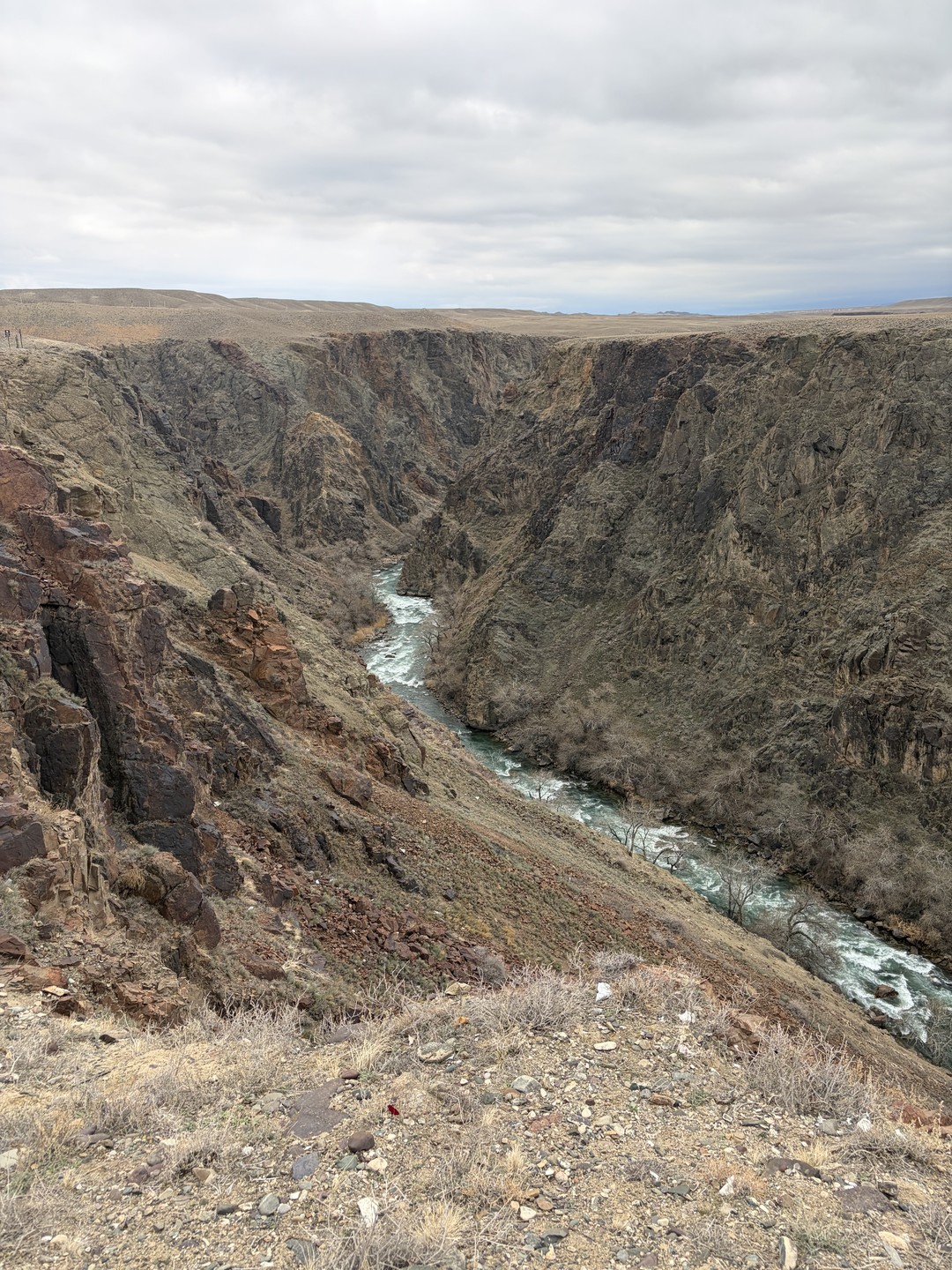 Отличная экскурсия, отличная организация, отличный гид!