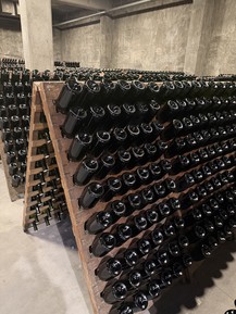 Фото отзыва 3: экскурсия "Вино и оливки Мендосы"