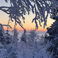 Фото отзыва 2: экскурсия "В Хибины на снегоступах — из Кировска"