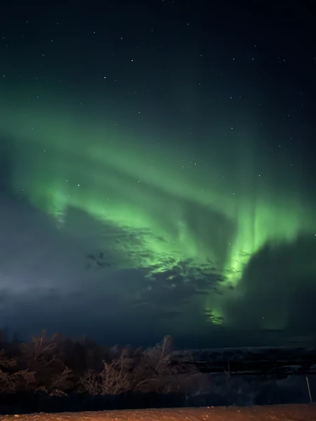 Спасибо большое за охоту, особенно, когда результат очень радует! отдельное спасибо гида Сергею, мои знания о