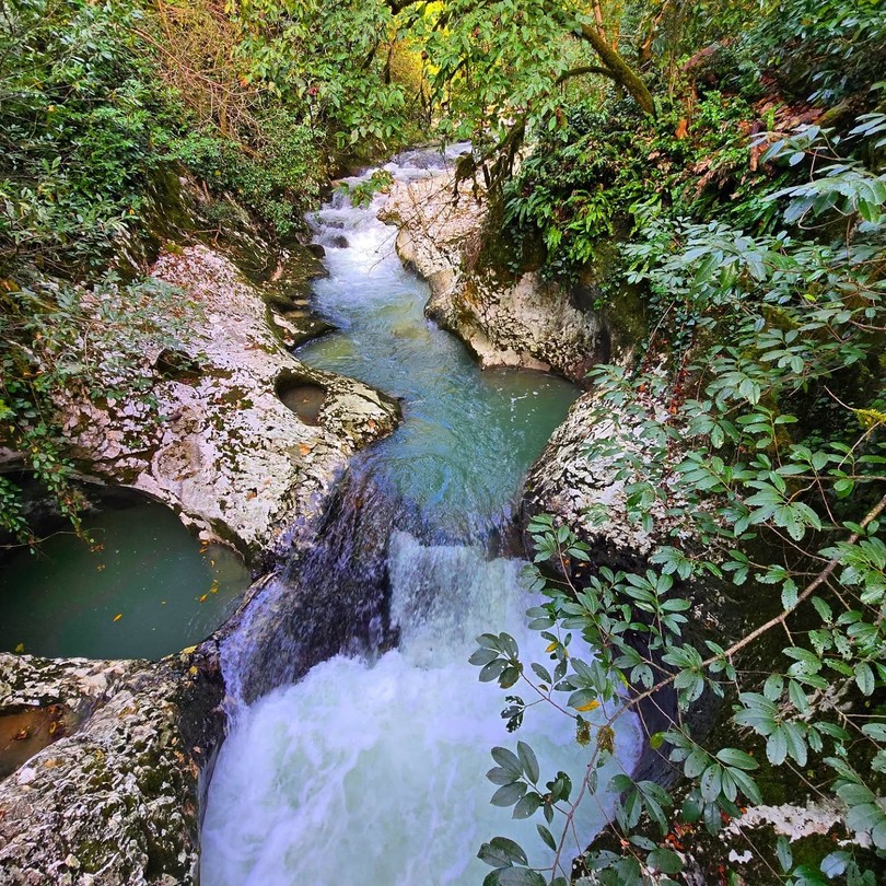 Поездка на джипе из Нового Афона - к озеру Рица и Гегскому водопаду (Владимир)