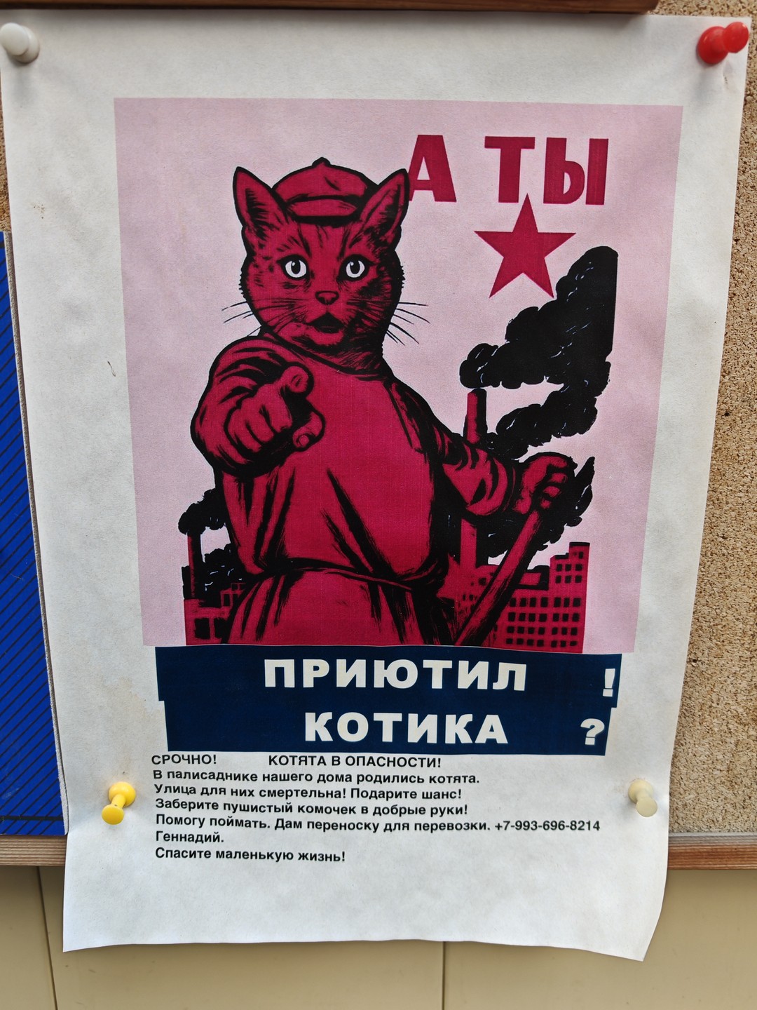 Непарадная Москва: что кроется в переулках самого центра? (в мини-группе) (Екатерина)