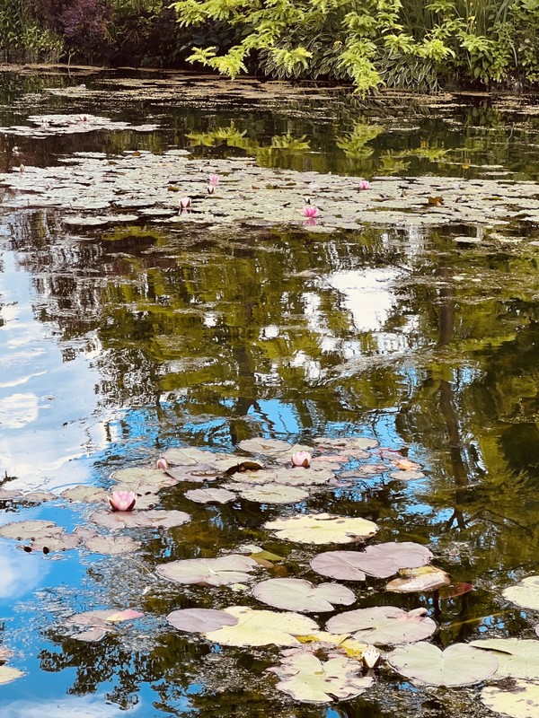 Райские кущи Клода Моне и музей импрессионизма в Живерни