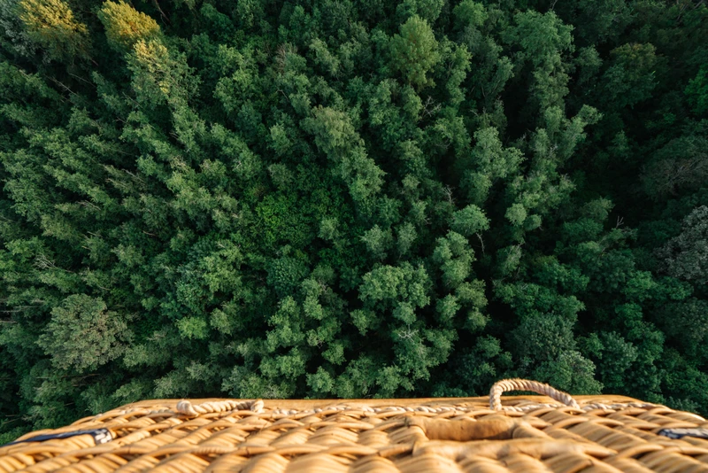 Полёт на воздушном шаре в Дмитрове