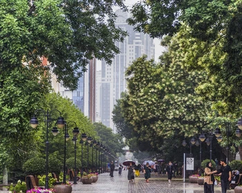 Грозный: обзор города и ключевые достопримечательности