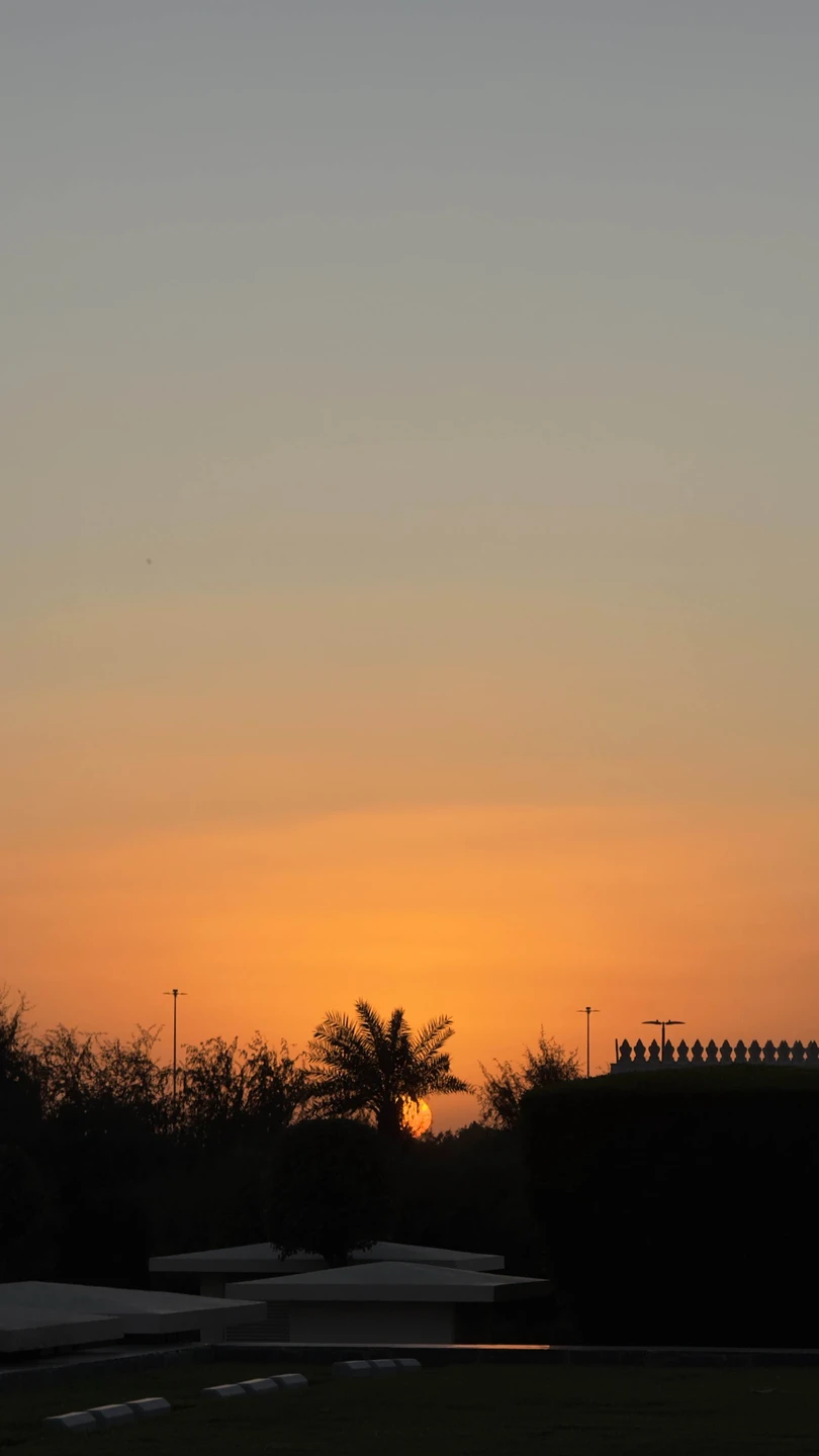 Абу-Даби в мини-группе с посещением Президентского дворца (Илья)