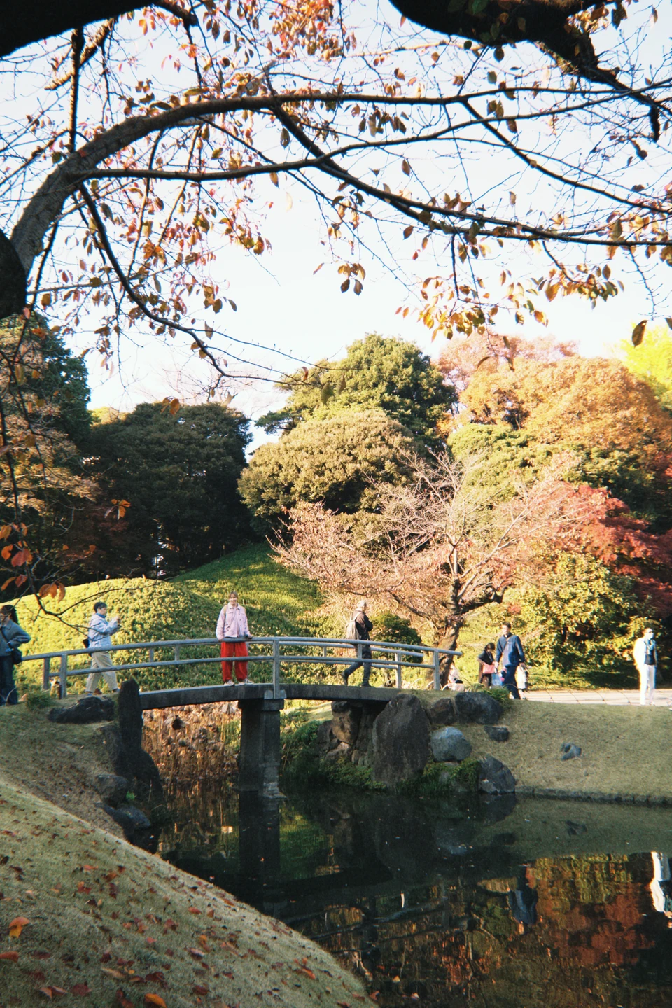 Отличный тур, один из ярчайших дней всей поездки