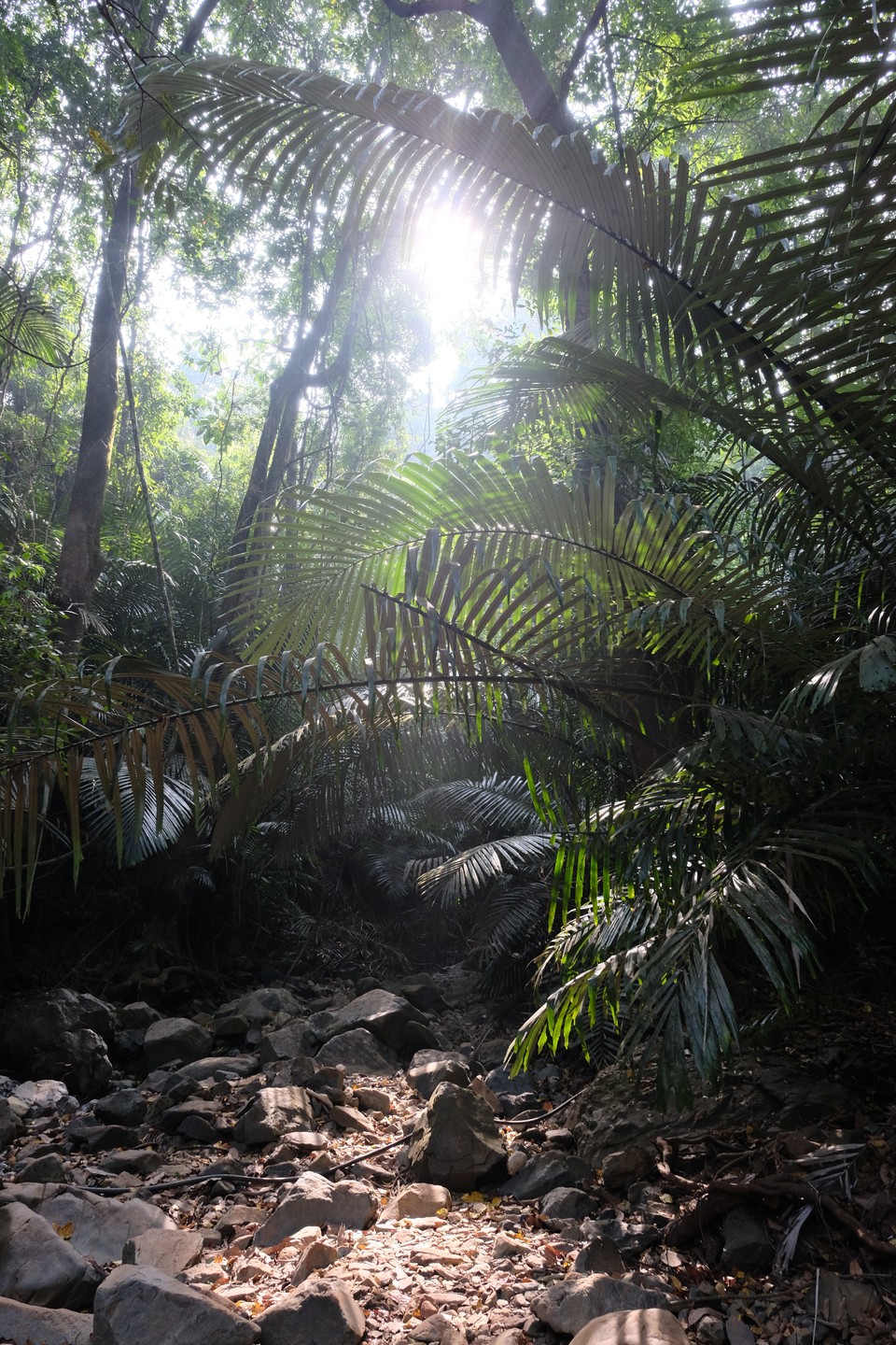 Отличная организация. Учитывая что всех участников нужно было собрать из разных точек Гоа - был приятно
