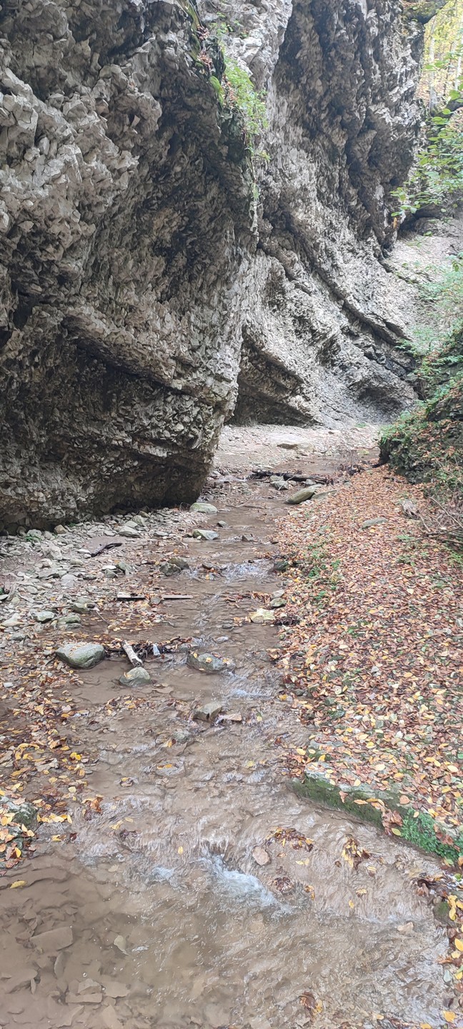 В Аргунское ущелье - за водопадами, древними башнями и национальными лепешками (Антон)