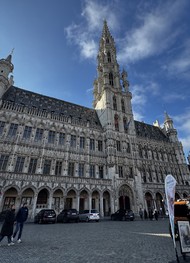 Фото отзыва 4: экскурсия "Свидание с Брюсселем каждый день"