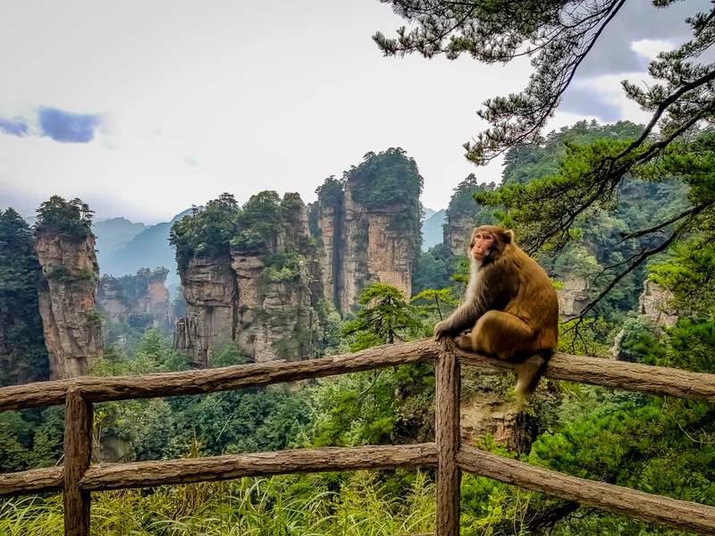VIP-тур в Китай с отелями 5*, днём в Диснейленде, мастер-классами и водными прогулками